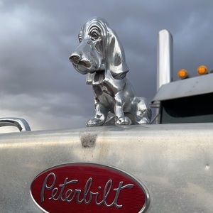 Meet your Posher, Korbyn